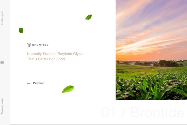 Brontide website preview