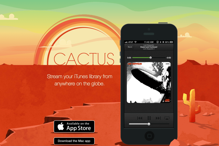 Cactus website preview