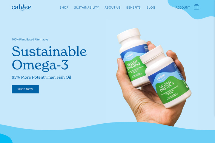 Calgee website preview