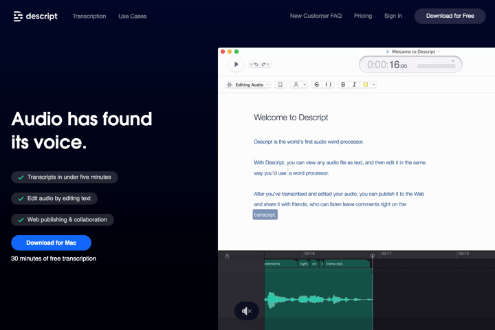 Descript website preview