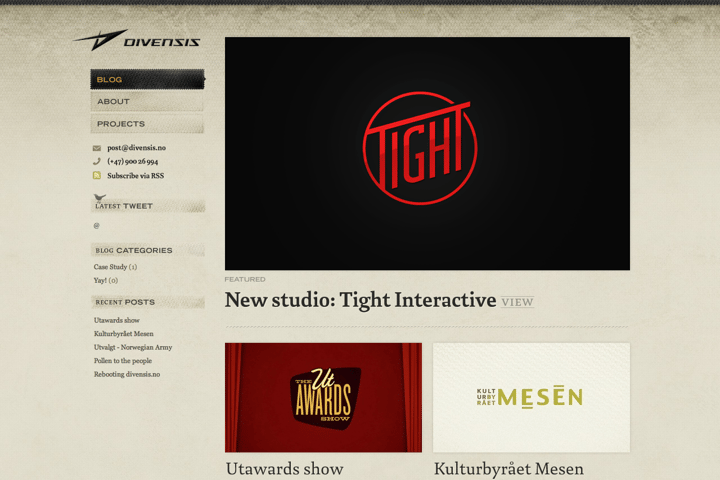 Divensis website preview