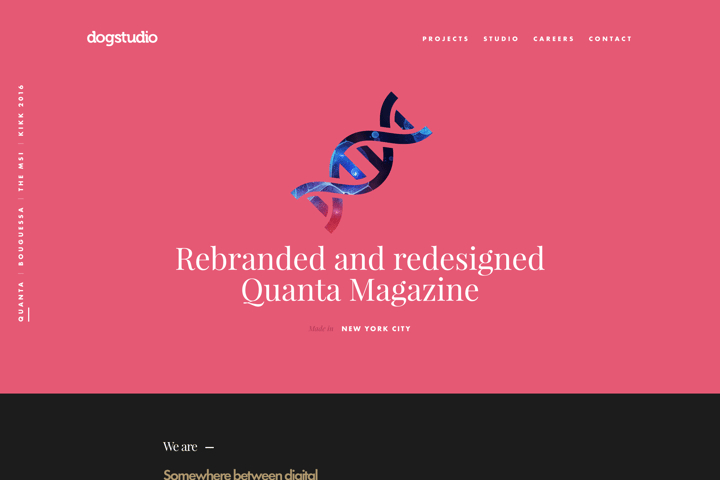 Dogstudio