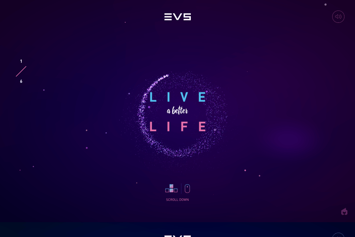 EVS website preview