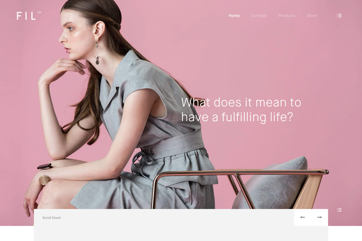 FIL website preview