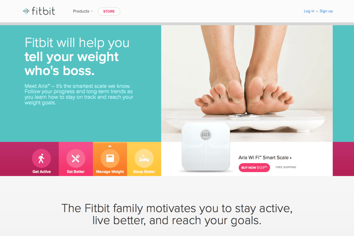 Fitbit website preview