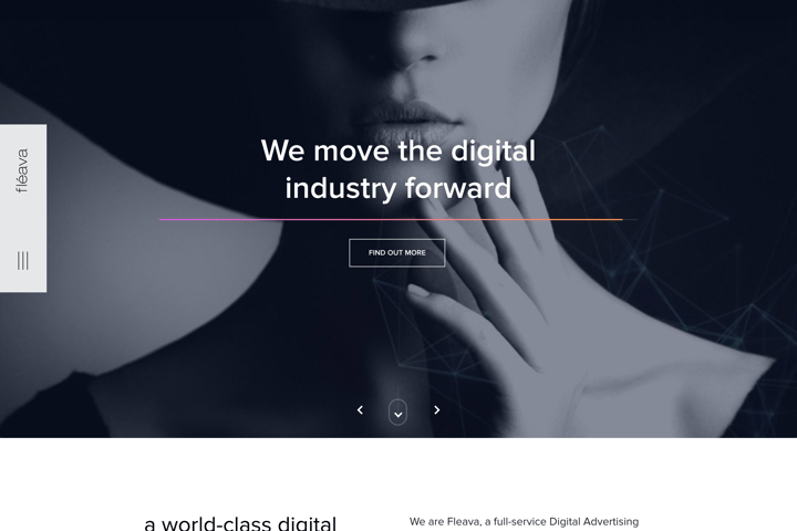 Fleava website preview