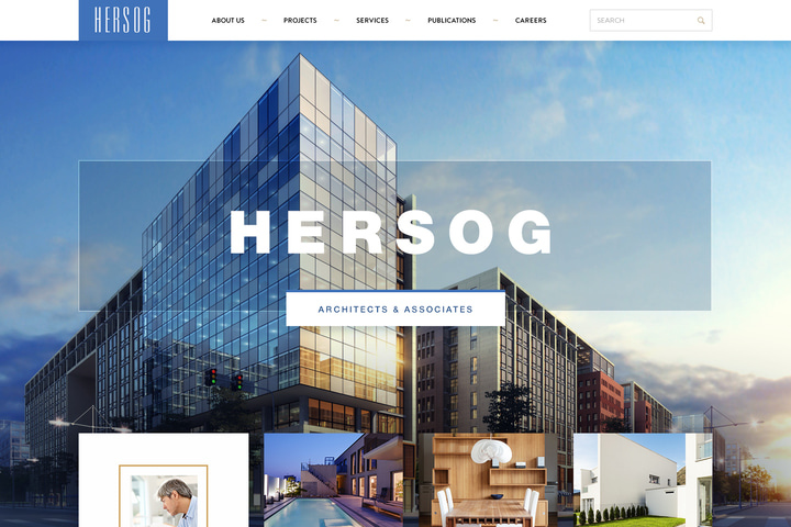 HERSOG website preview