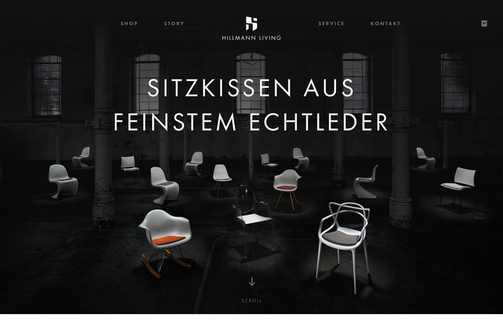 HILLMANN LIVING website preview