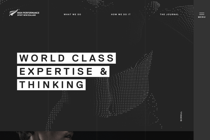HPSNZ website preview