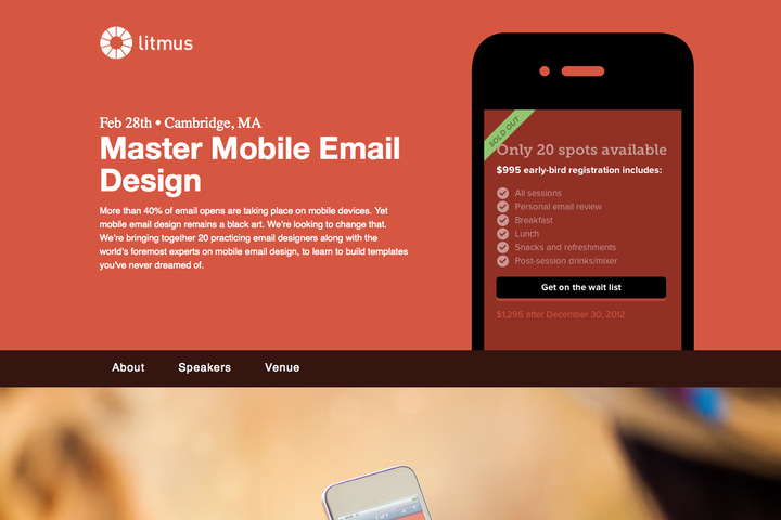 Litmus website preview