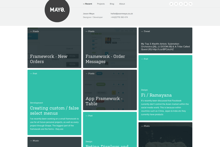 Mayo website preview