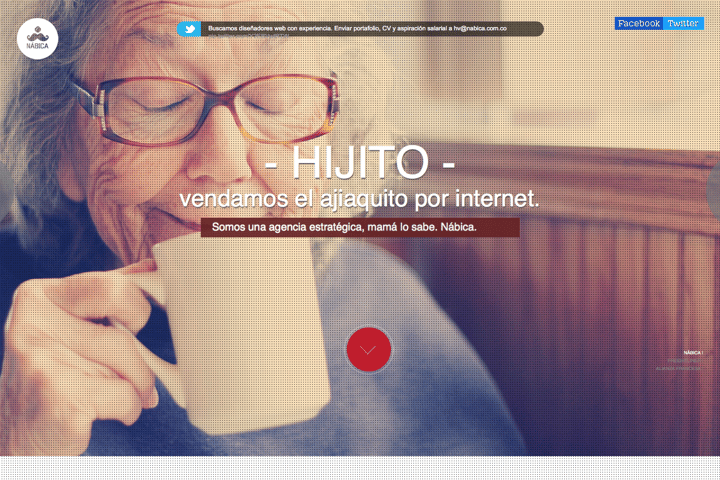 Nabica website preview