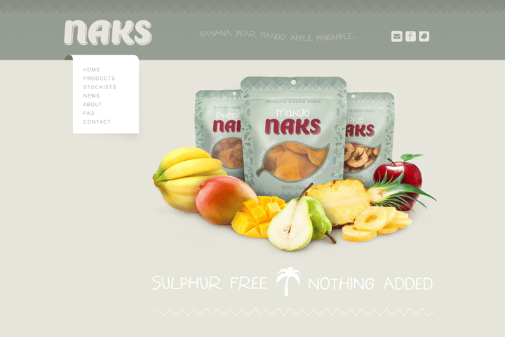 Naks website preview
