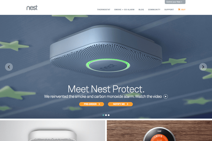 Nest website preview