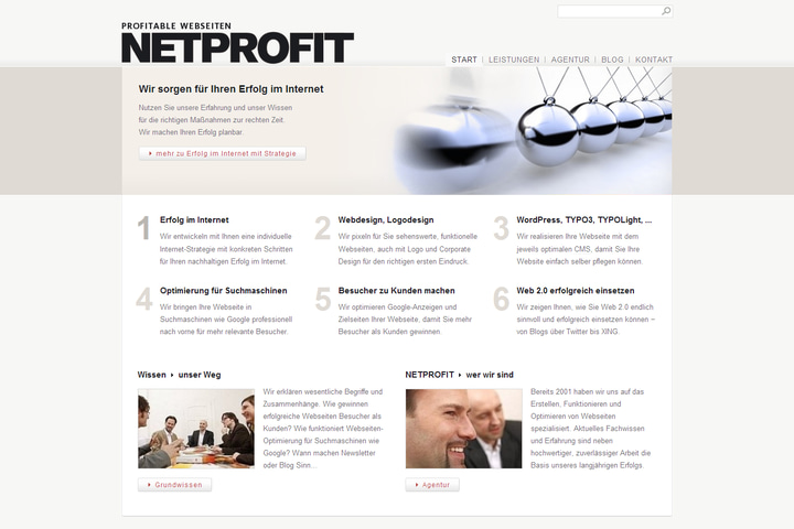 Netprrofit website preview