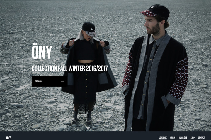 ONY website preview
