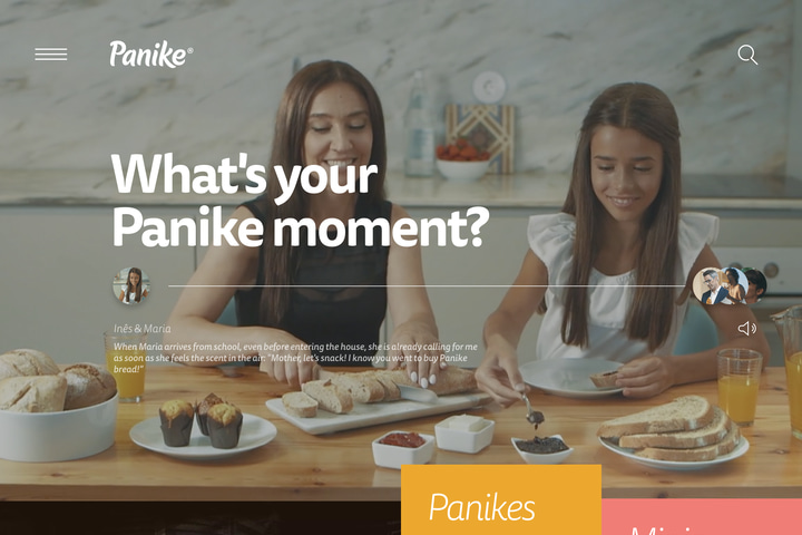 Panike website preview