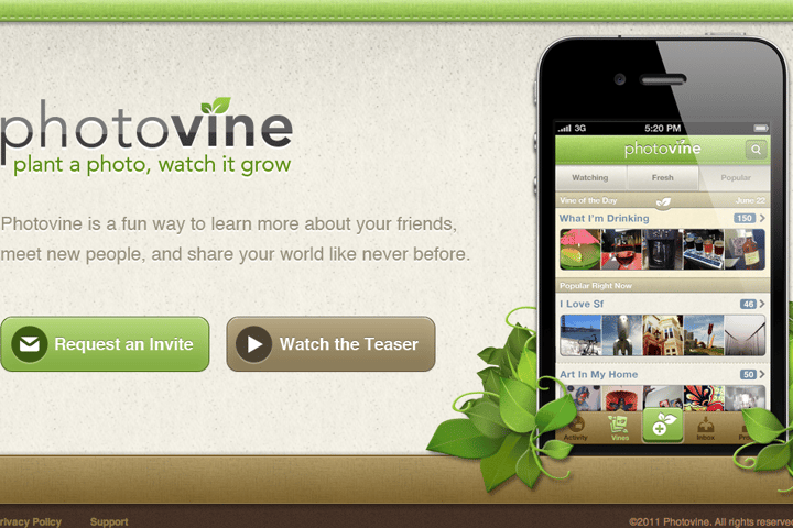 Photovine