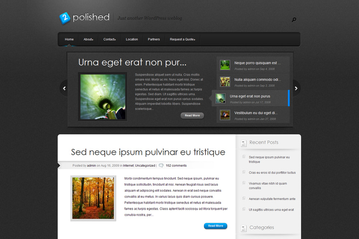 Polished website preview