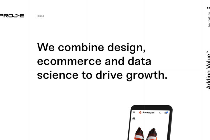 Proj-e website preview