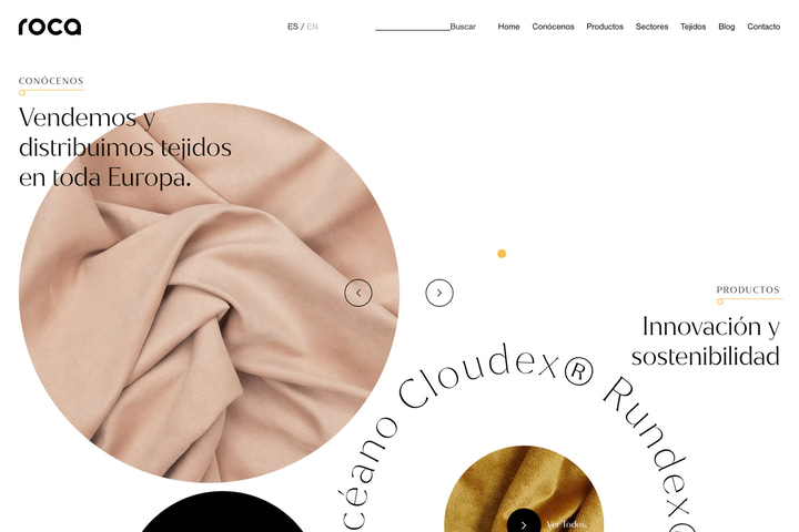 ROCA website preview