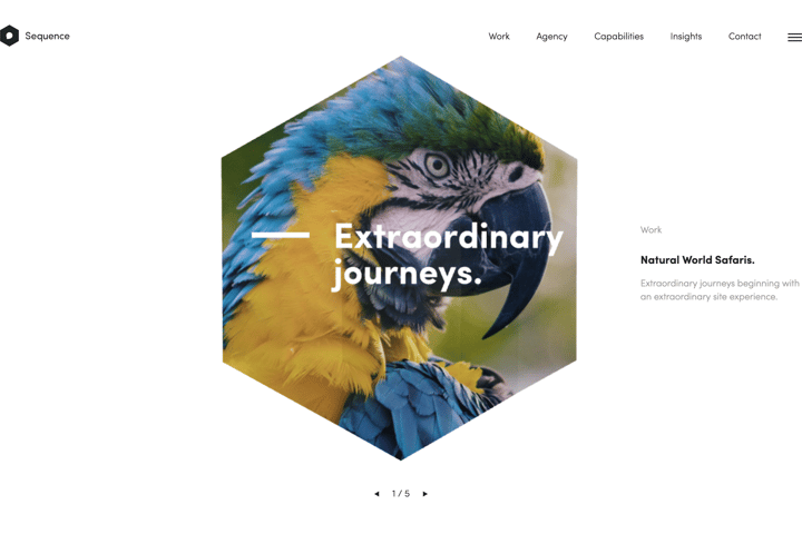 Sequence website preview