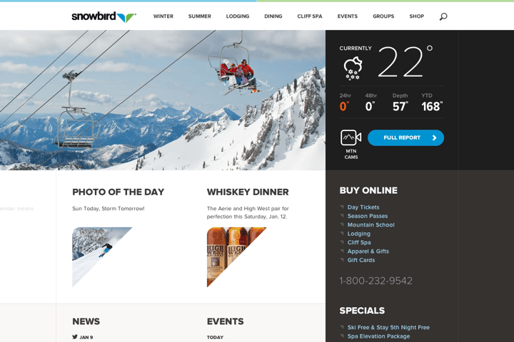 Snowbird website preview