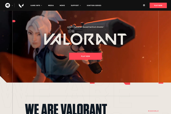 VALORANT website preview