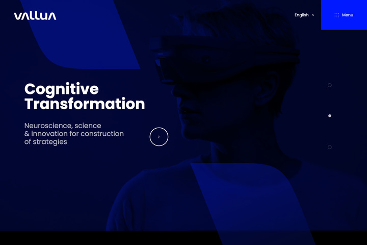 Vallua website preview
