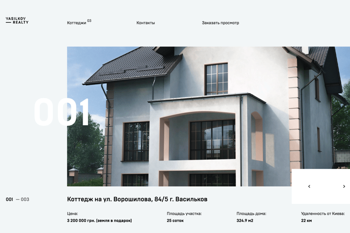Vasilkov website preview