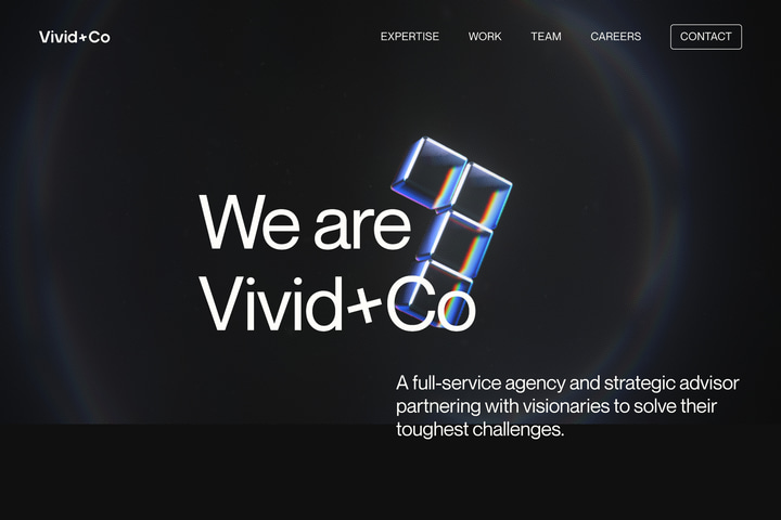 Vivid+Co website preview