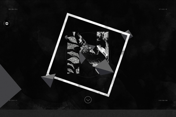 Wanaka website preview
