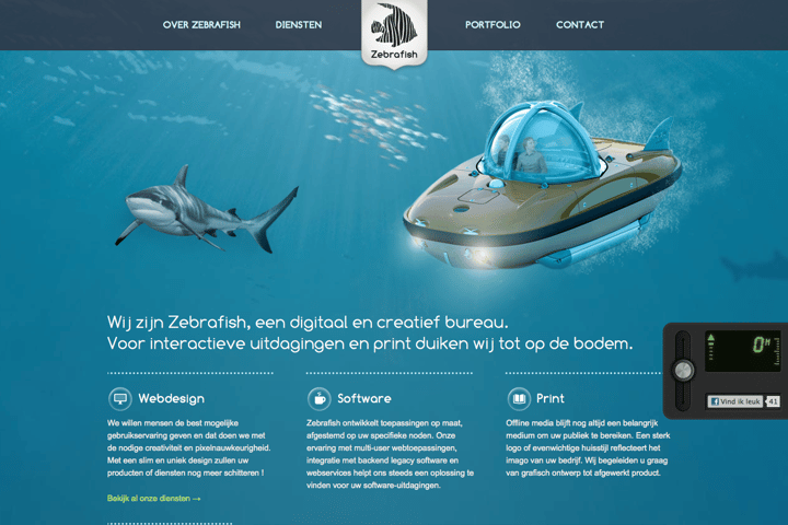 Zebrafish