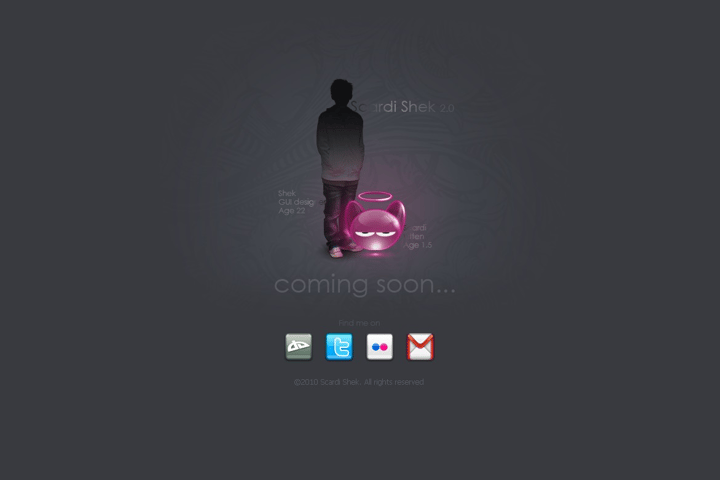 sshek website preview