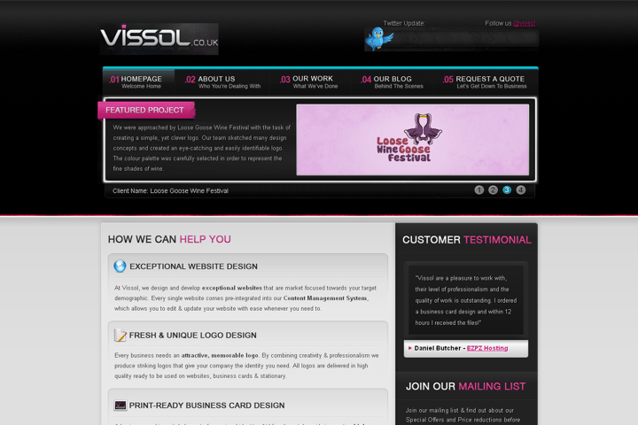 vissol website preview