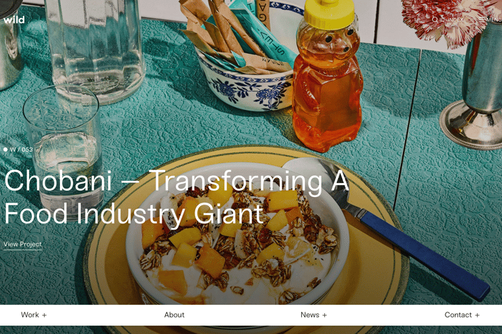 wild website preview