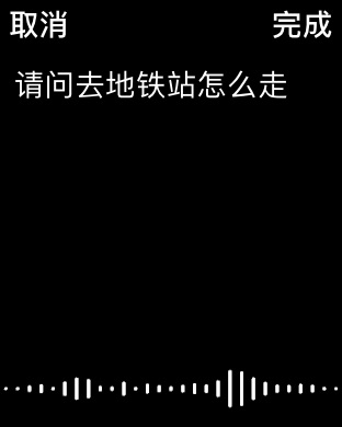 有道翻译官-107种语言翻译 Apple Watch screenshot 4