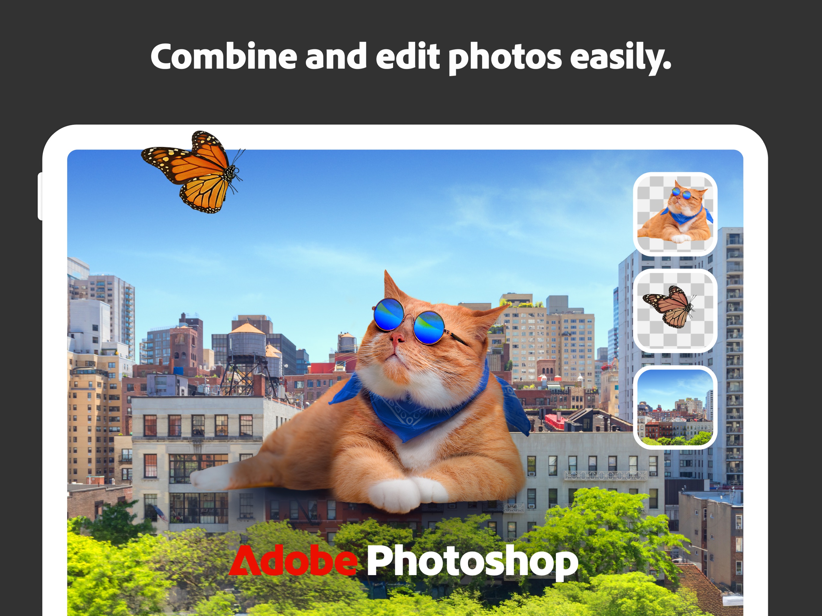 Adobe Photoshop iPad screenshot 2