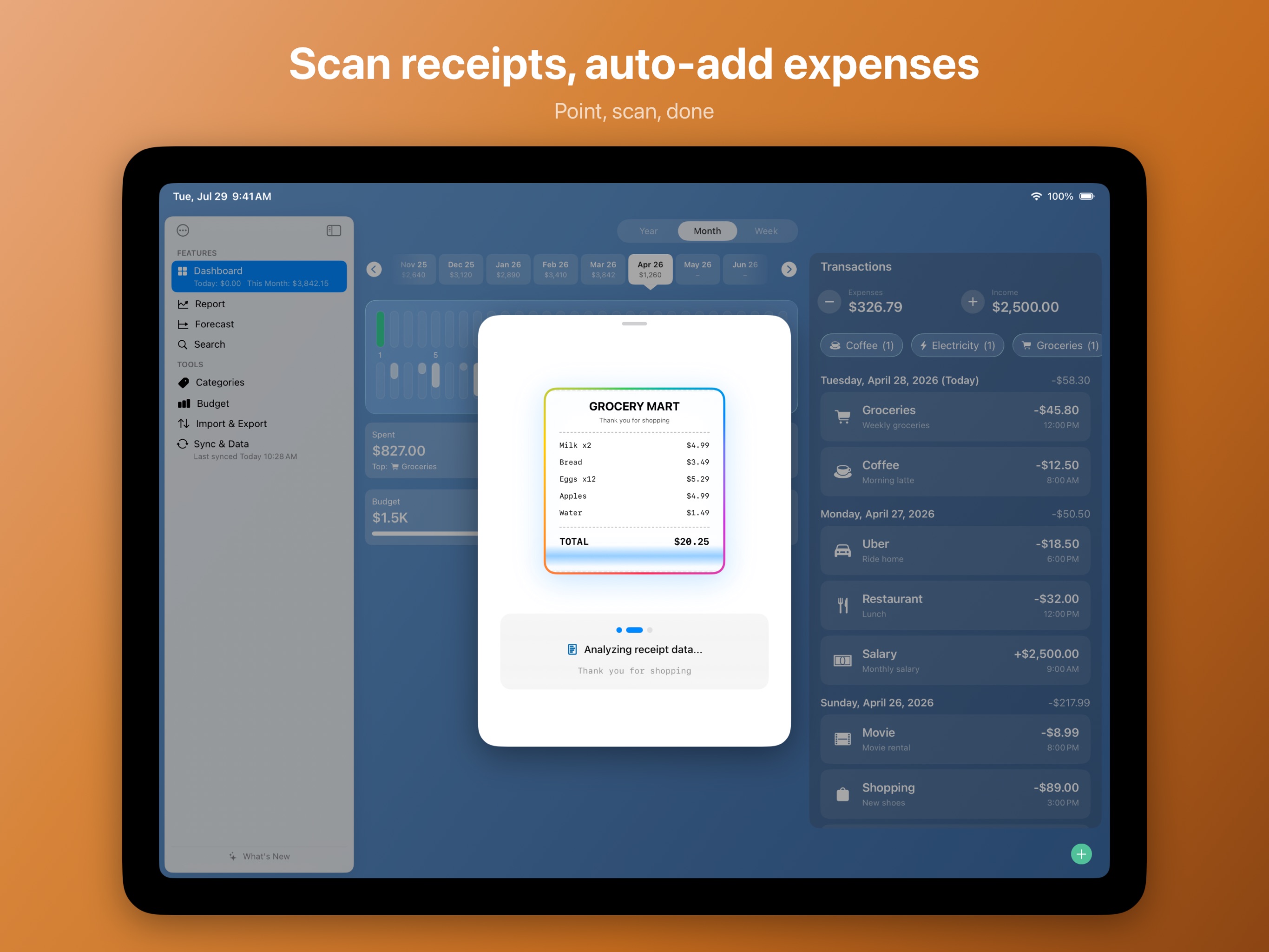 Coins - Spending Tracker iPad screenshot 3