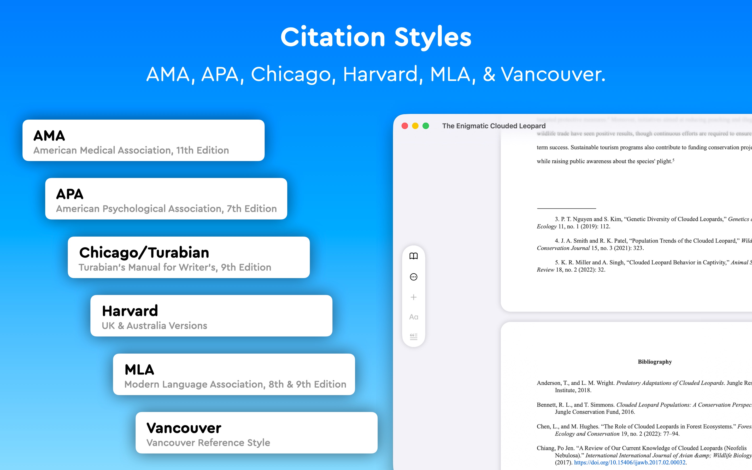 Essayist: Academic Writing App Mac screenshot 2