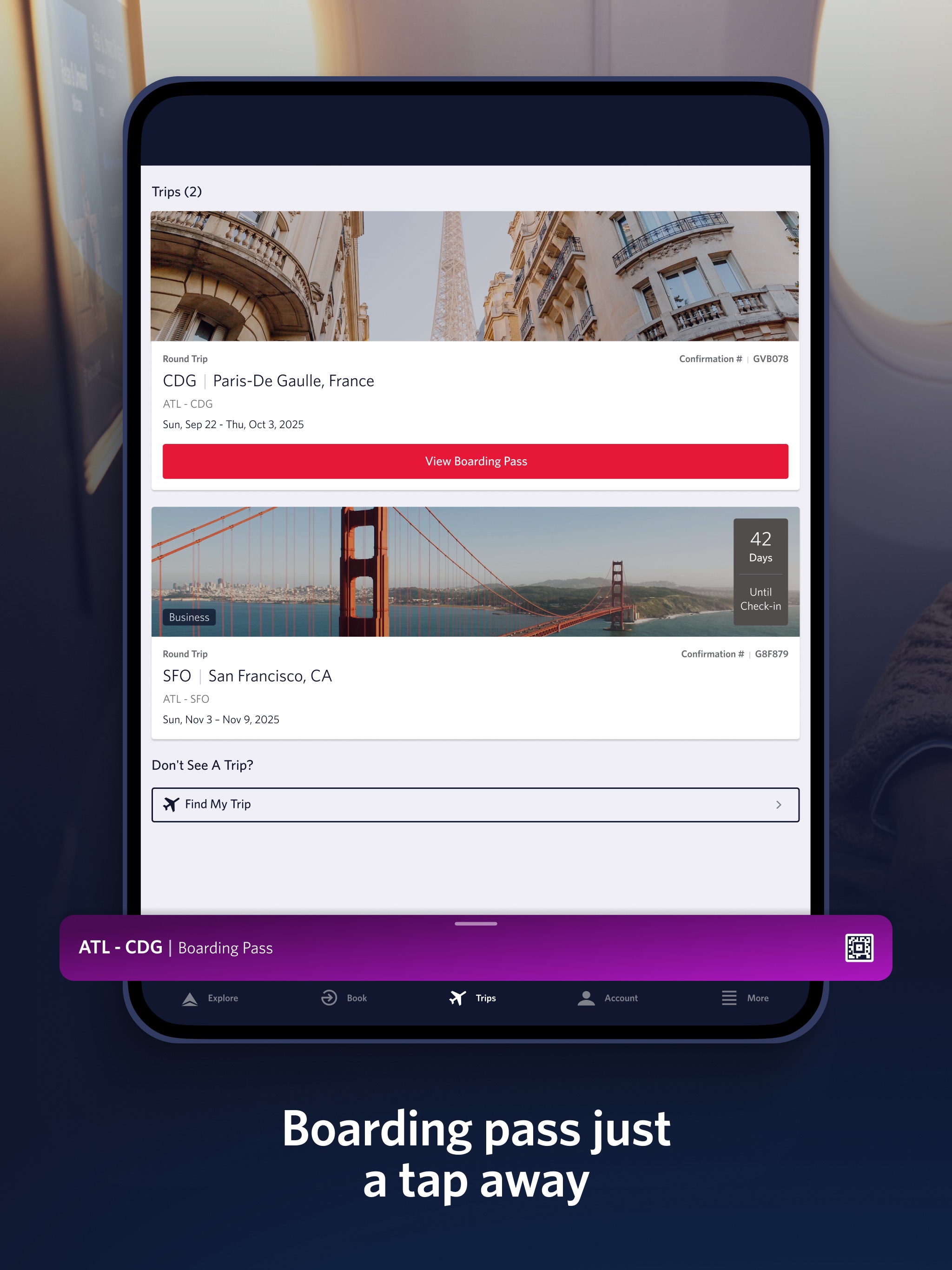 Fly Delta iPad screenshot 5