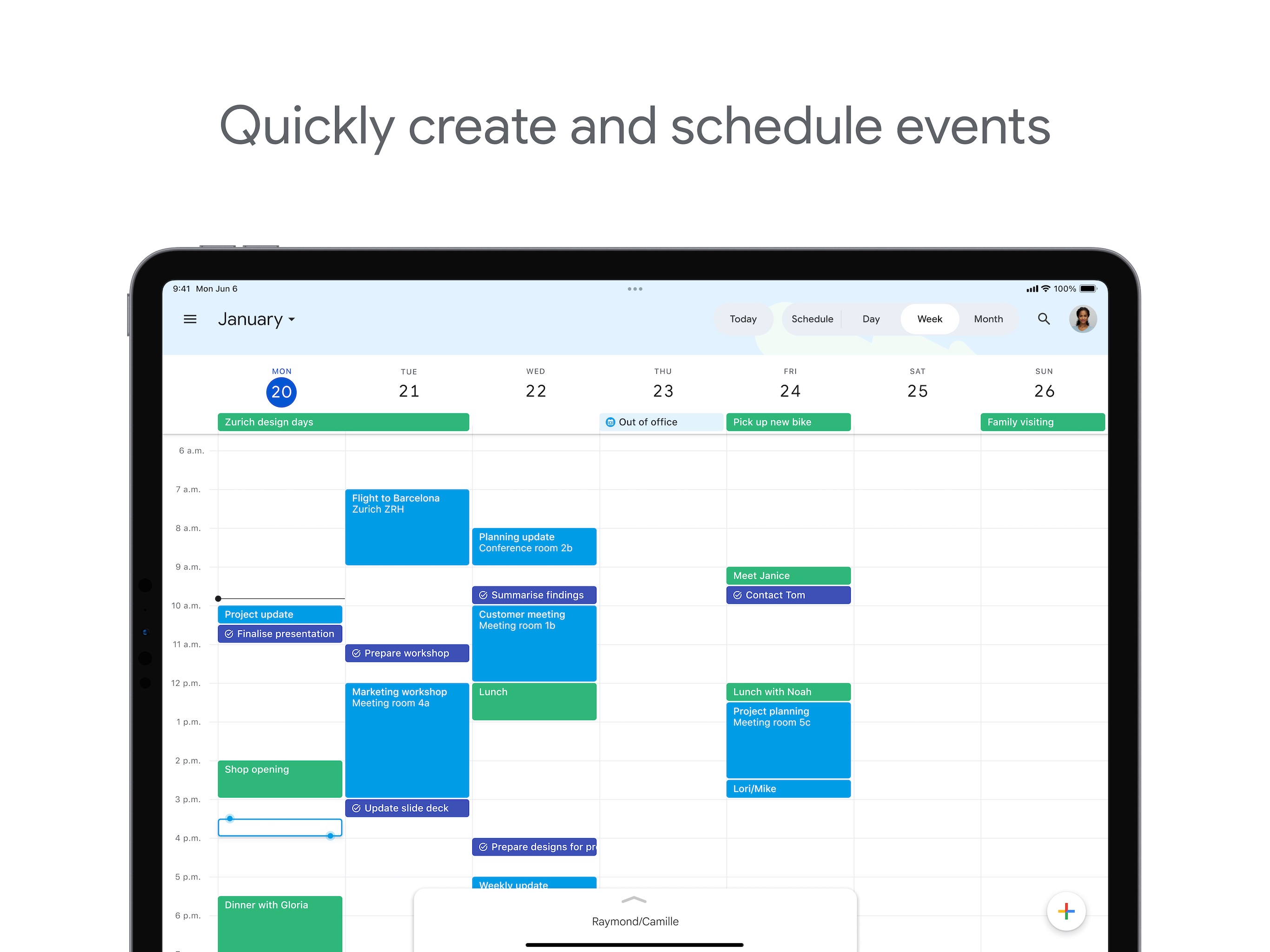 Google Calendar iPad screenshot 2