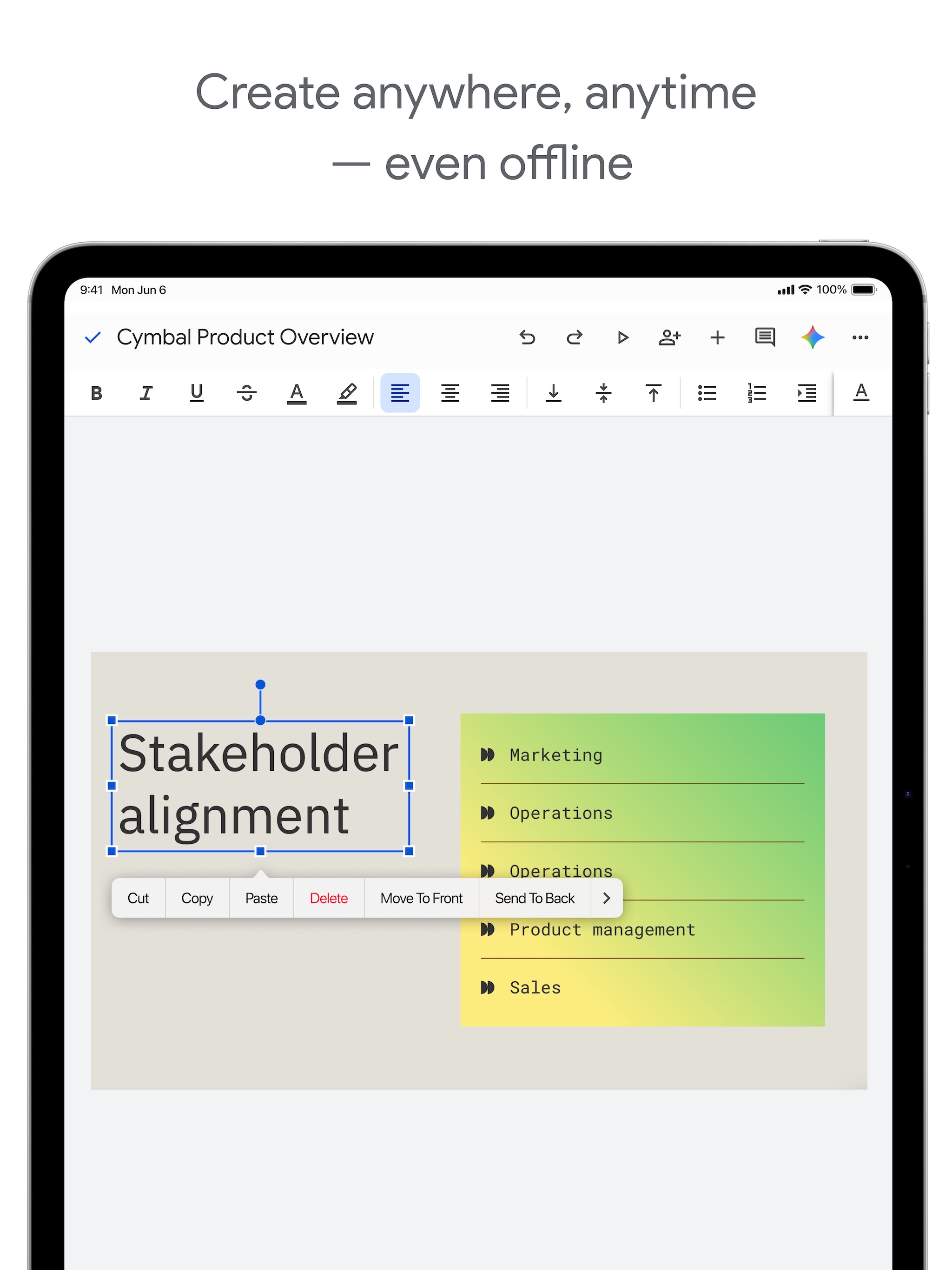 Google Slides iPad screenshot 3