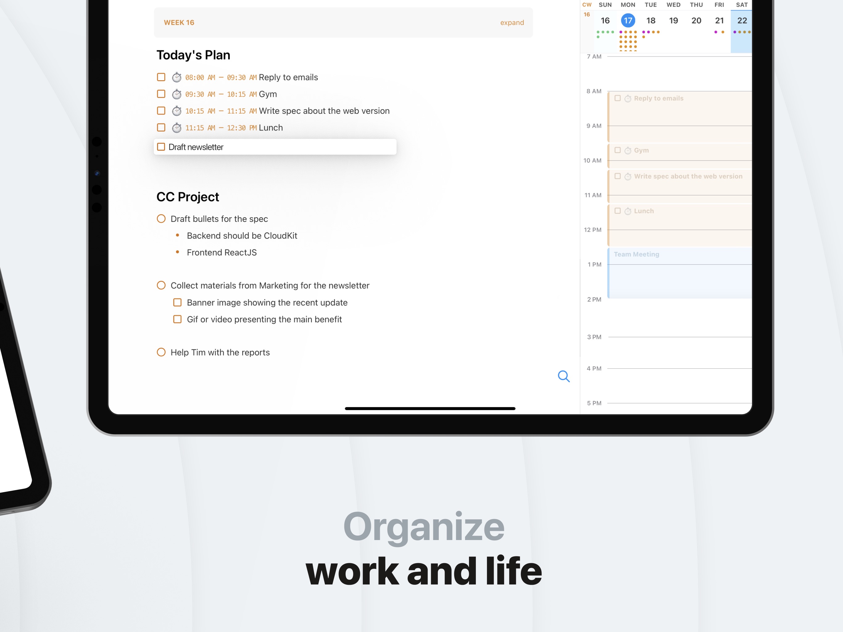 NotePlan iPad screenshot 2