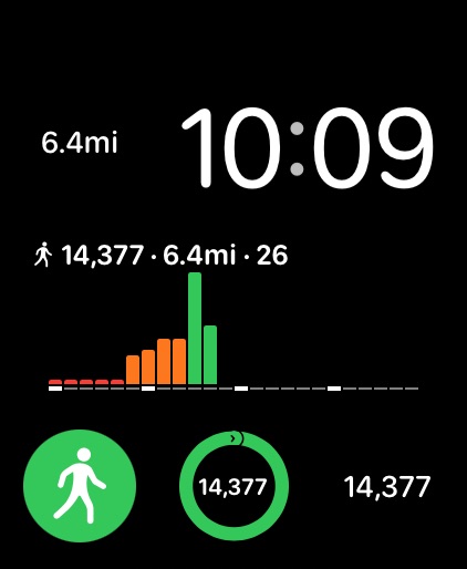 Pedometer++ Apple Watch screenshot 3