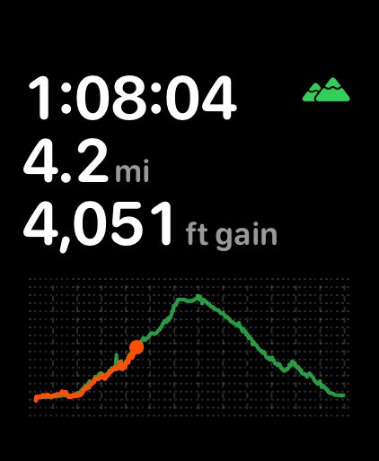 Pedometer++ Apple Watch screenshot 6