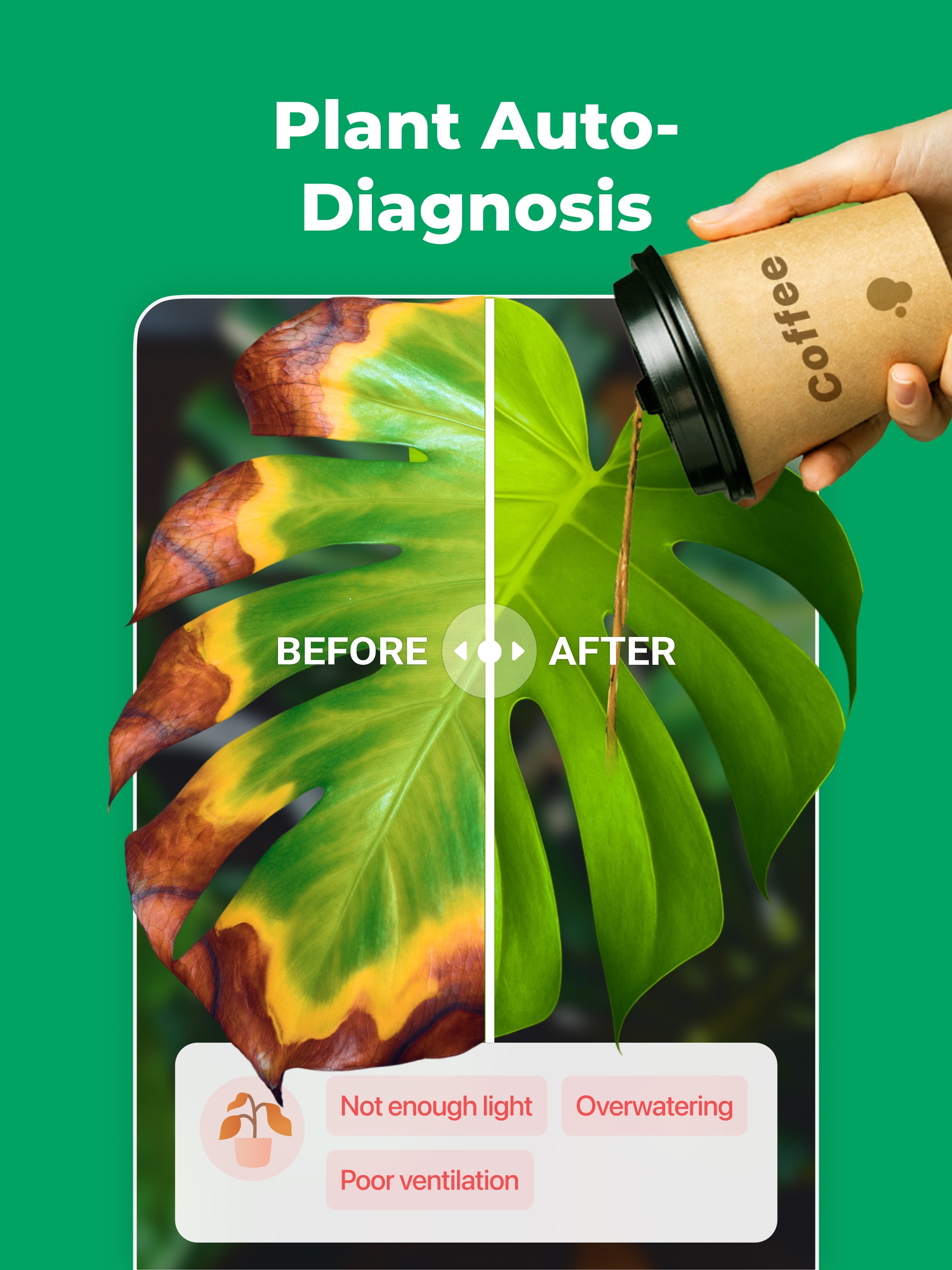 PictureThis - Plant Identifier iPad screenshot 2