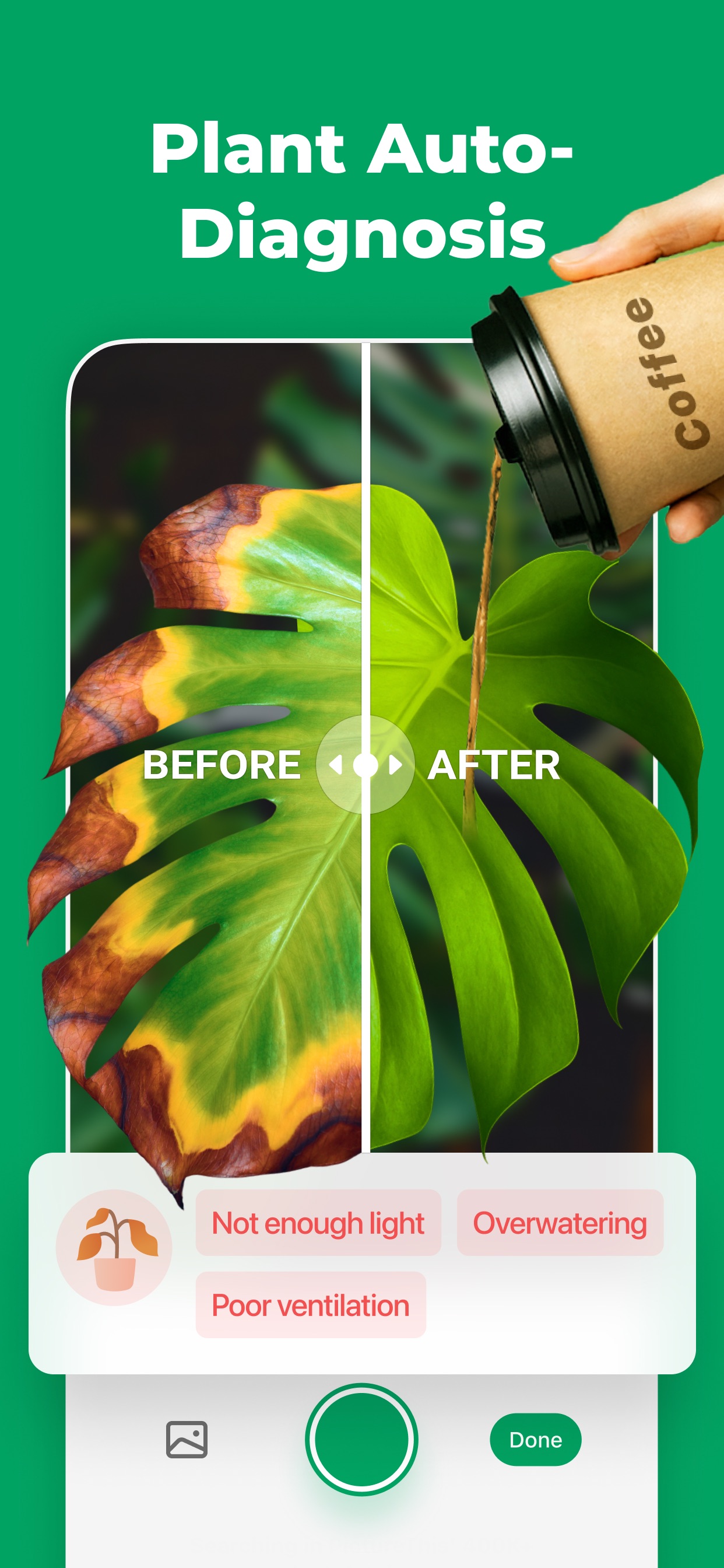 PictureThis - Plant Identifier iPhone screenshot 2
