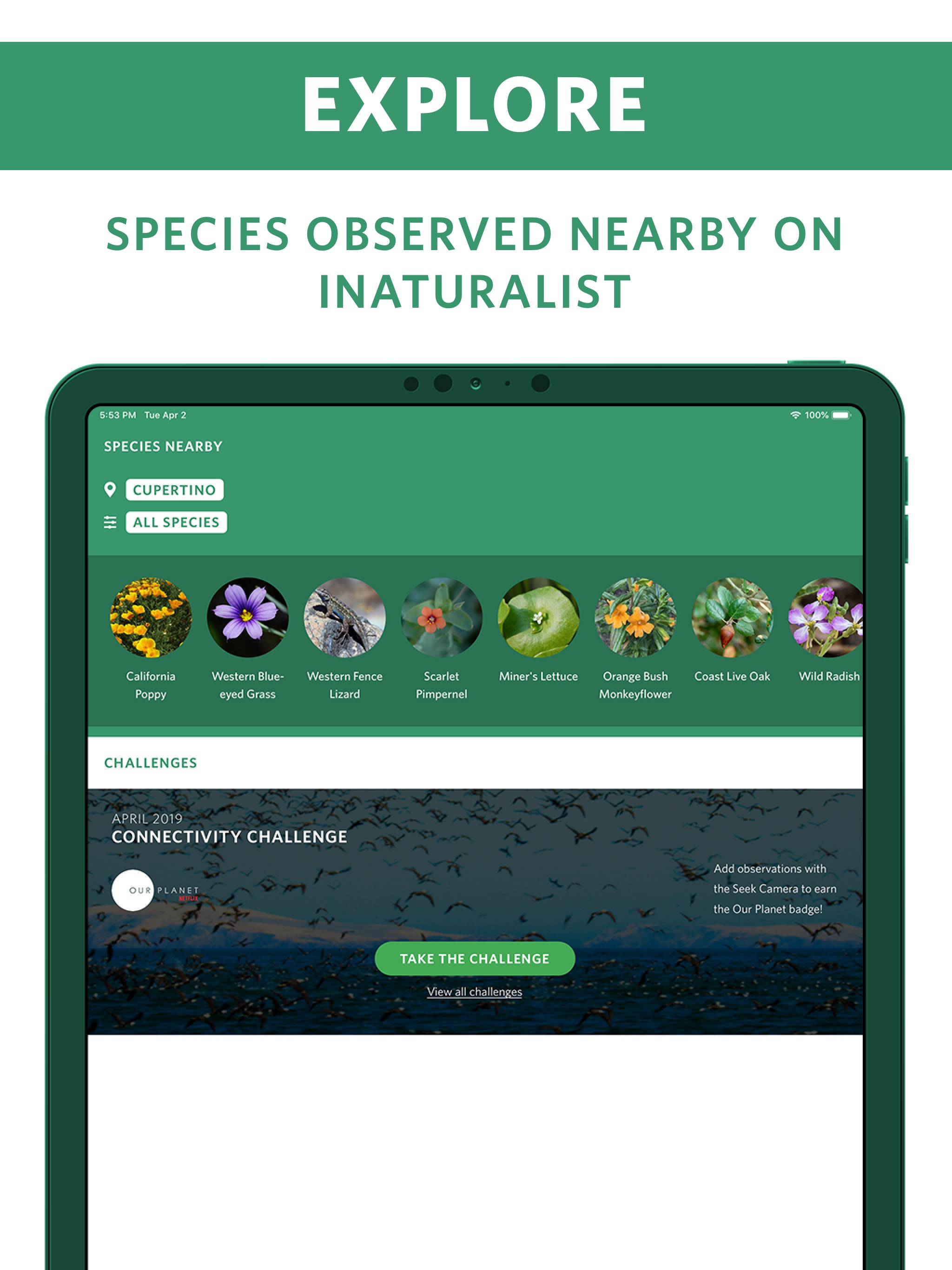 Seek by iNaturalist iPad screenshot 5