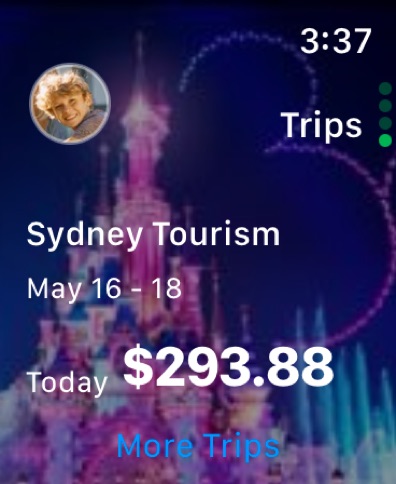 Shared Family Calendar: FamCal Apple Watch screenshot 4